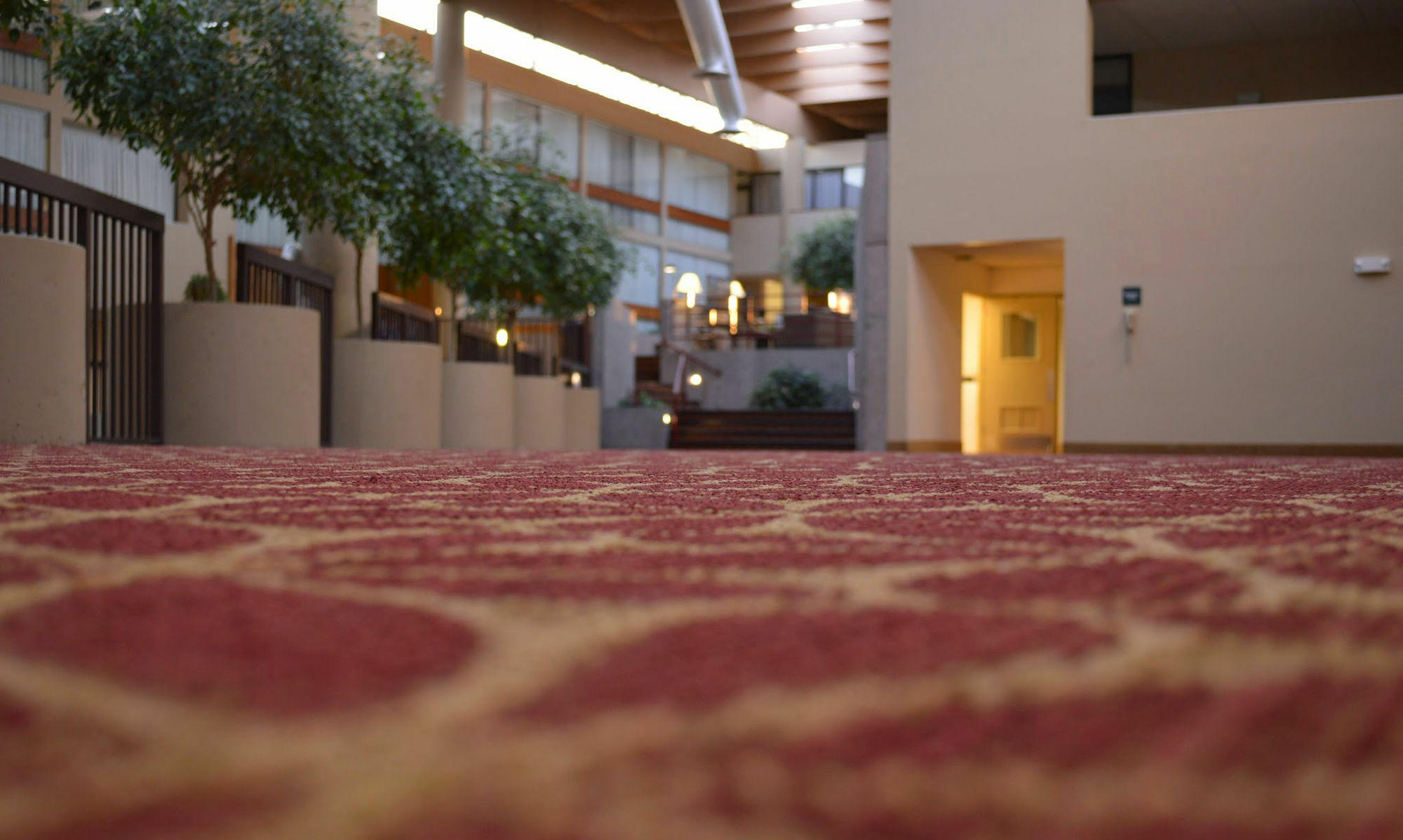 Hotel Muscatine エクステリア 写真